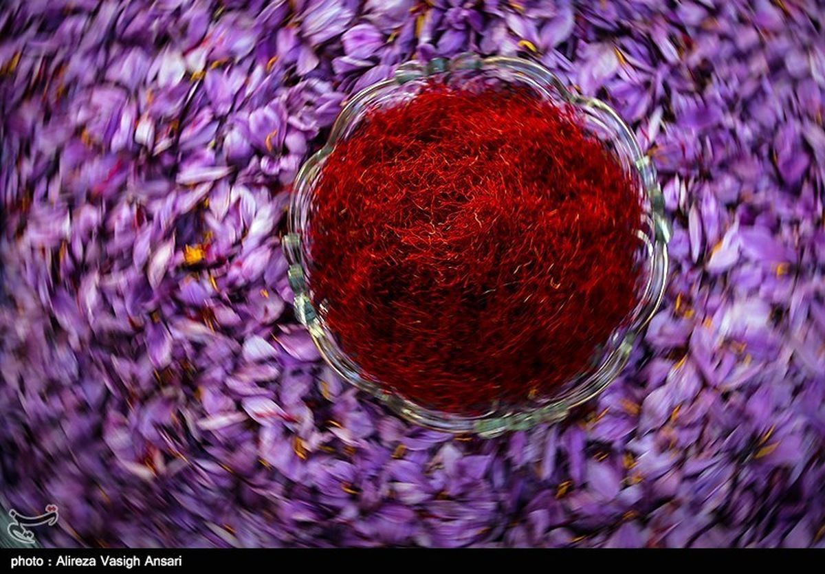 طرح ضربتی مقابله با فروش "زعفران تقلبی" در اطراف حرم امام رضا(ع)؛ پیشگیری از "فلهفروشی" در انتظار تصویب