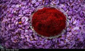 طرح ضربتی مقابله با فروش "زعفران تقلبی" در اطراف حرم امام رضا(ع)؛ پیشگیری از "فله‌فروشی" در انتظار تصویب