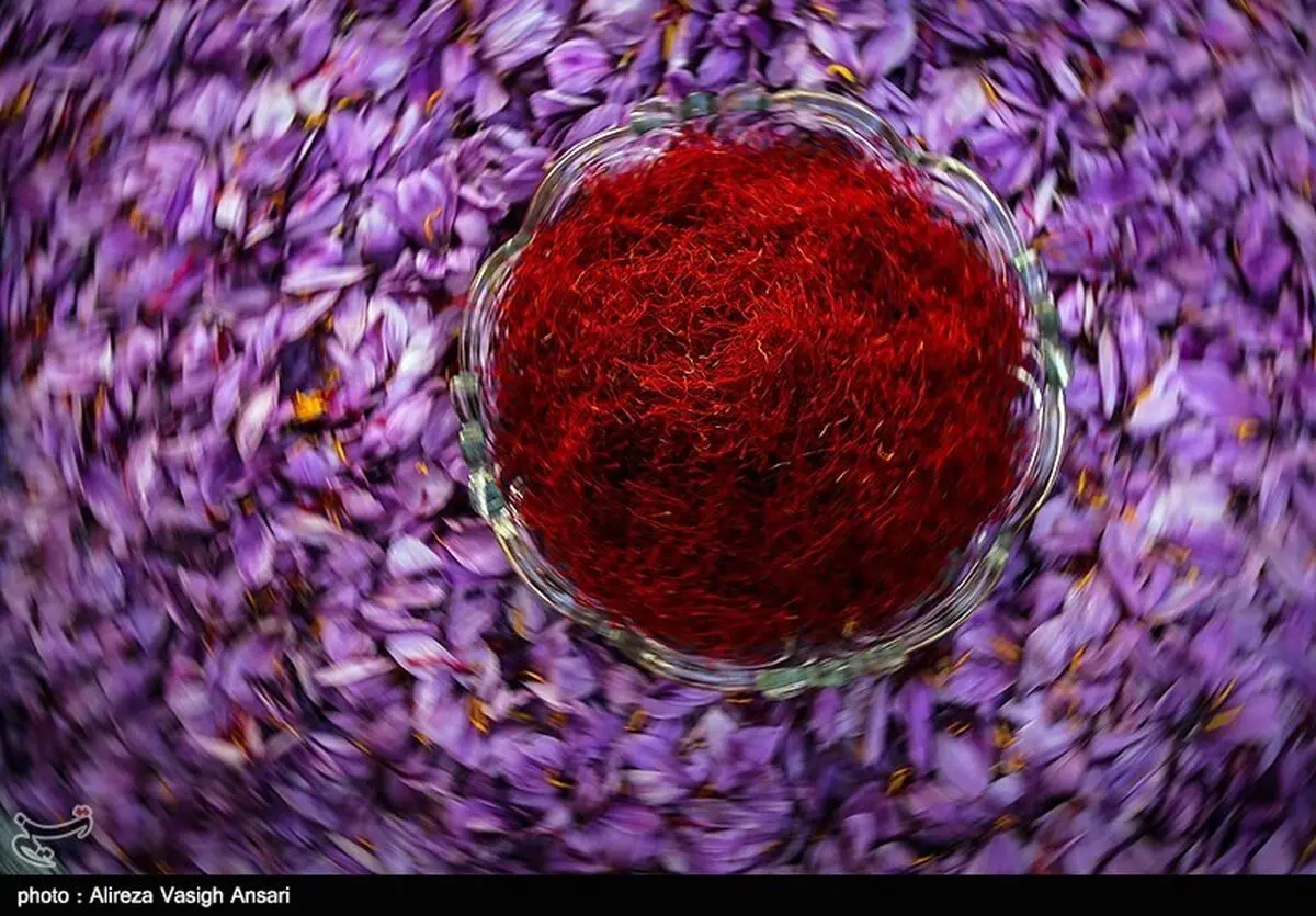 طرح ضربتی مقابله با فروش "زعفران تقلبی" در اطراف حرم امام رضا(ع)؛ پیشگیری از "فله‌فروشی" در انتظار تصویب