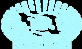 رشد 2753 درصدی درآمدهای بانک تجارت