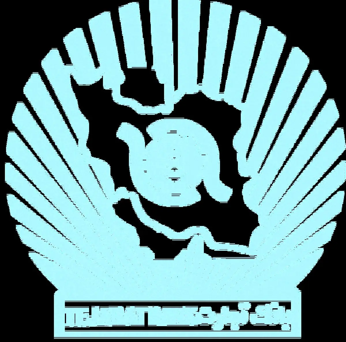 رشد 2753 درصدی درآمدهای بانک تجارت