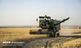 خریدتضمینی گندم ۹درصدکاهش یافت / کشاورزان گندمشان را انبار کردند