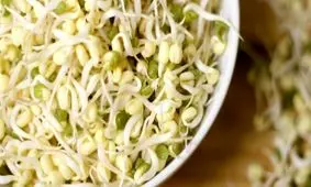 خواص جوانه ماش؛ ۹ خاصیت بی‌نظیر این گیاه کوچک