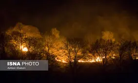 افزایش ۹۰ برابری خسارت‌ آتش‌سوزی در محیط زیست استان تهران