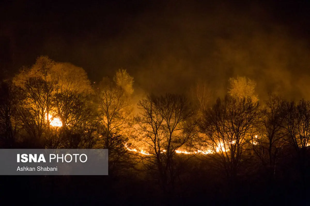 افزایش ۹۰ برابری خسارت‌ آتش‌سوزی در محیط زیست استان تهران