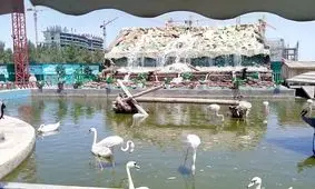 مدت ۳ ماهه اداره کل محیط زیست خراسان رضوی به باغ پرندگان مشهد
