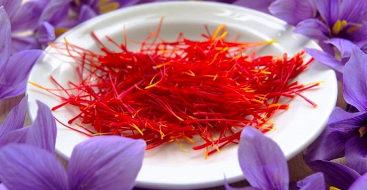 ۹۰درصد صادرات زعفران از استان های خراسان انجام می شود