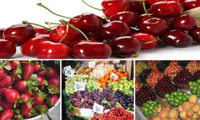 کدام میوه را کیلویی ۲ هزار تومان می‌توان خرید؟