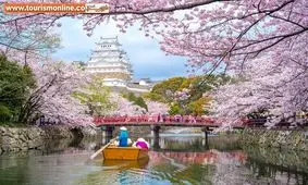 تماشای زیباترین شکوفه‌های بهاری، پیش از رسیدن بهار! +تصاویر