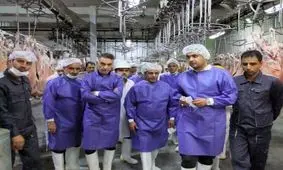 بازدید رئیس شبکه دامپزشکی مشهد از سالن‌های ذبح دام