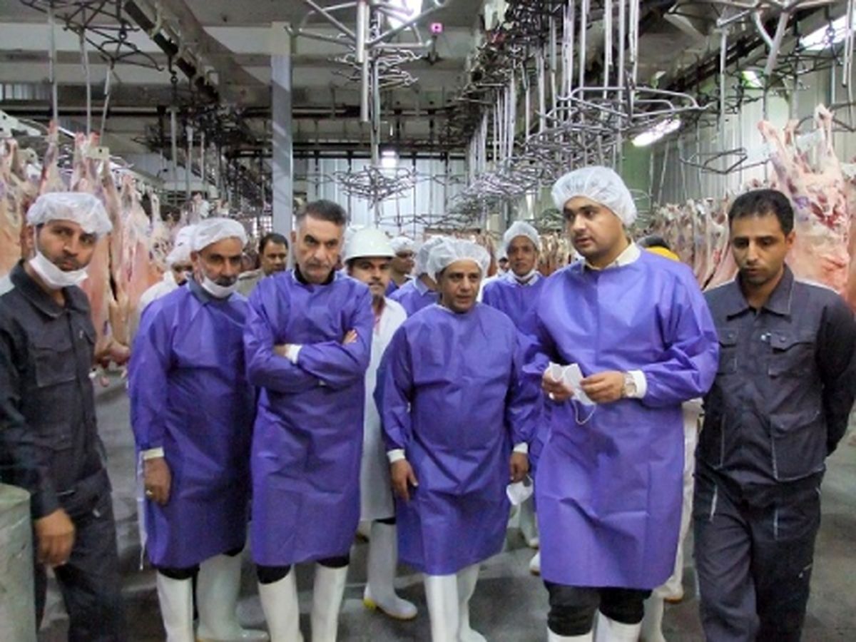 بازدید رئیس شبکه دامپزشکی مشهد از سالنهای ذبح دام