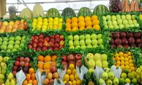 آخرین تحولات بازار صیفی جات / قیمت سیب زمینی در روزهای آتی متعادل می‌شود