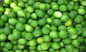 خواص لیمو ترش و آبلیمو