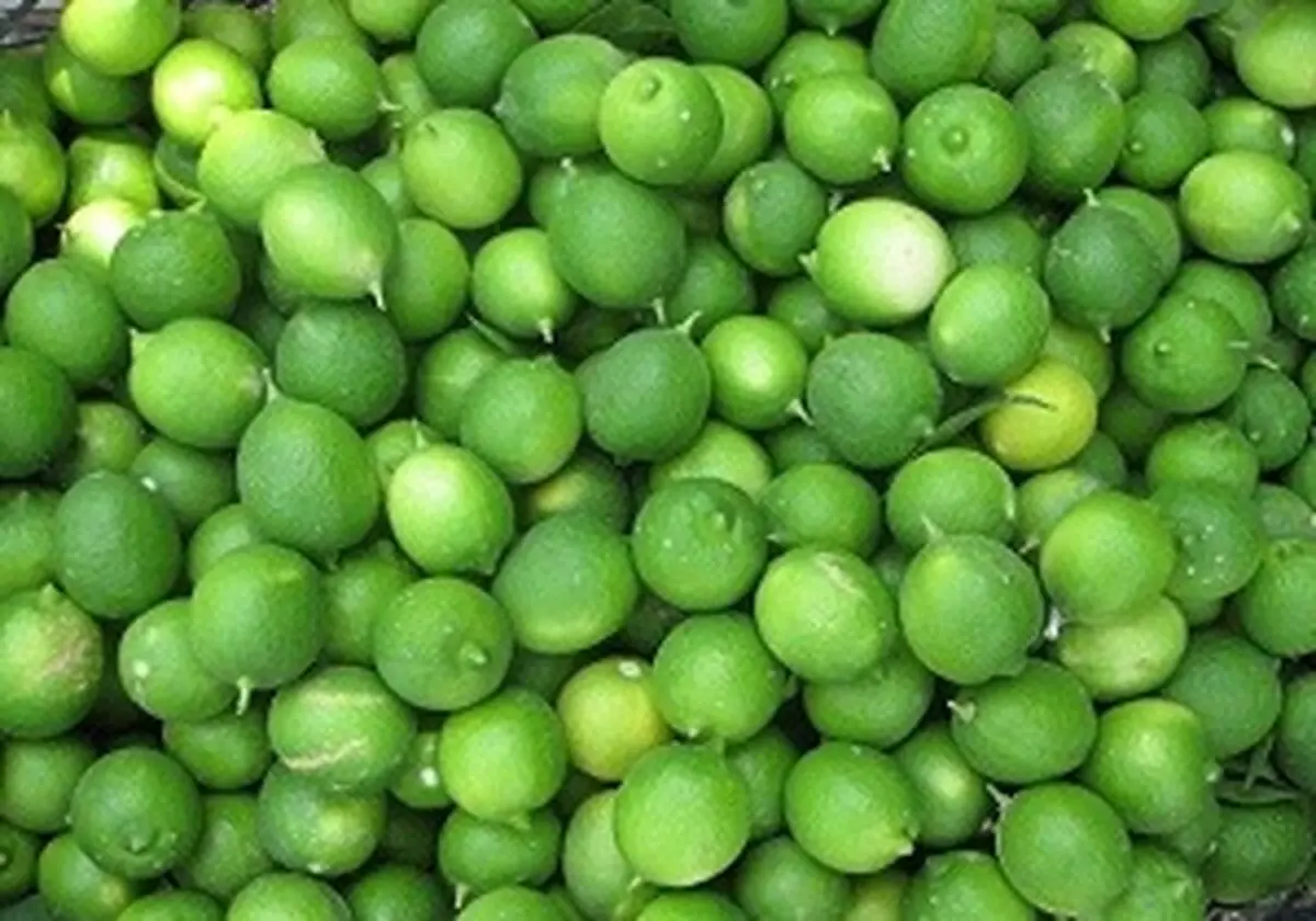 خواص لیمو ترش و آبلیمو