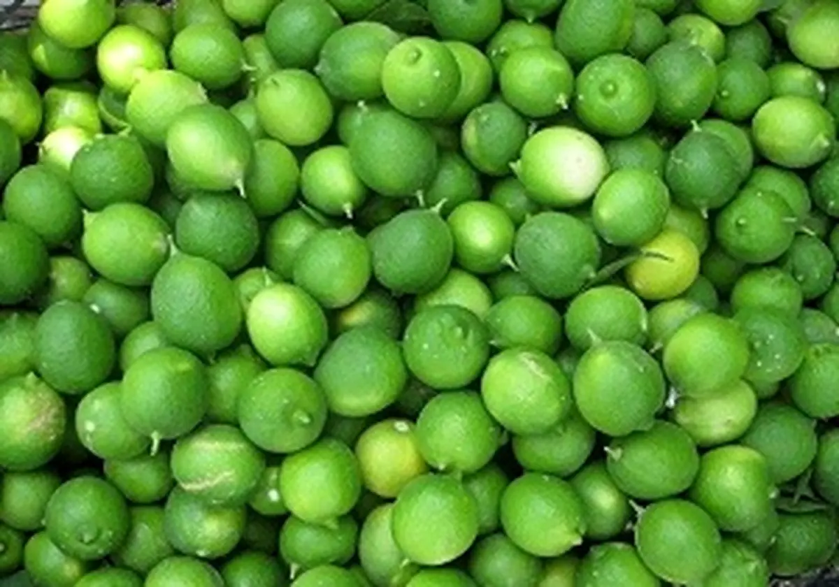 خواص لیمو ترش و آبلیمو