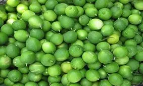خواص لیمو ترش و آبلیمو