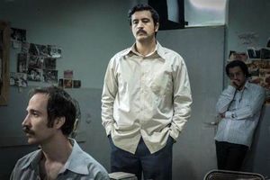 سینماهای شیراز در اکران نوروزی میزبان فیلم‌های برتر جشنواره فجر می‌شوند