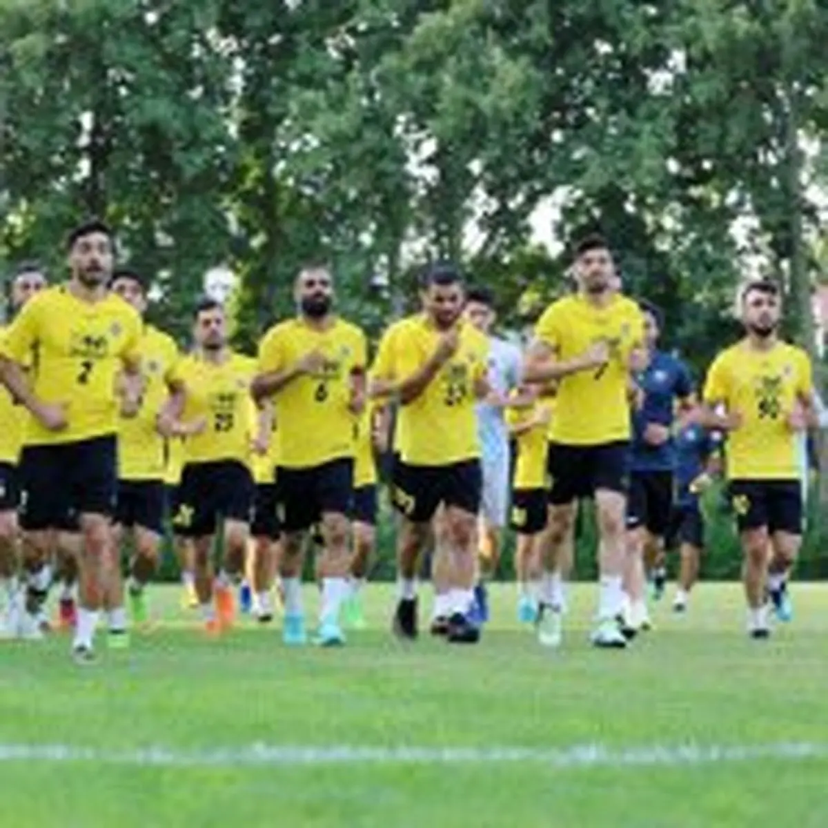 سپاهان با این دو خرید کامل می شود