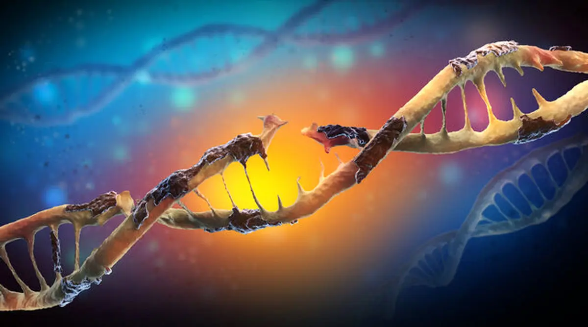 پیشگیری از سرطان پوست با ترمیم سلول‌های آسیب‌دیده DNA