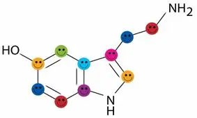 چگونه هورمون شادی را به طور طبیعی افزایش دهیم؟