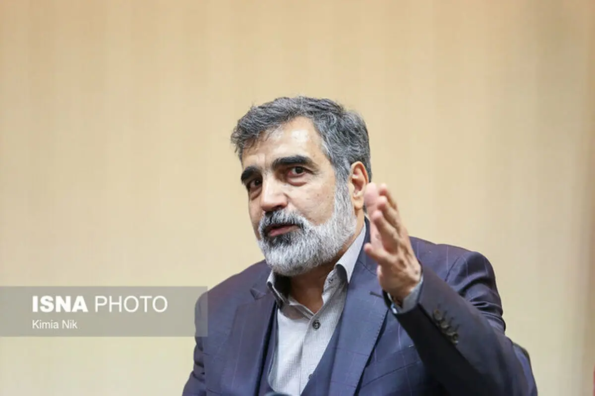 کمالوندی: کاهش تعهدات برجامی از روی لجاجت نیست