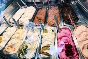 ثعلب‌های مورد استفاده در بستنی فروشی‌ها توقیف می‌شود