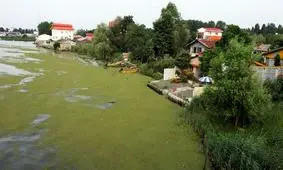 آیا پاکسازی تالاب انزلی با بایوجمی سرطان زاست؟ / ورود مستقیم فاضلاب خام از 71 دهنه فاضلاب