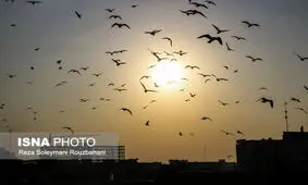 افزایش دما در همه استان‌های ایران در تیر ۹۸