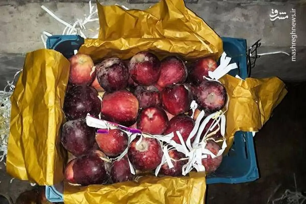 ماجرای سیب های انباری فاسد شده دماوند