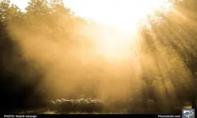 طبیعت «کلات» در نزدیکی مشهد+ عکس