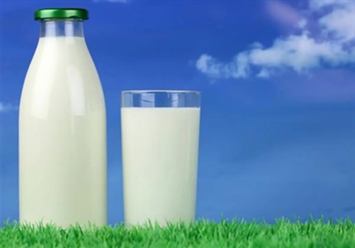 شیر کم چرب در بازار چند؟ + قیمت