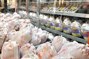 کنترل قیمت مرغ در هفته آینده/ حج علت گرانی مرغ
