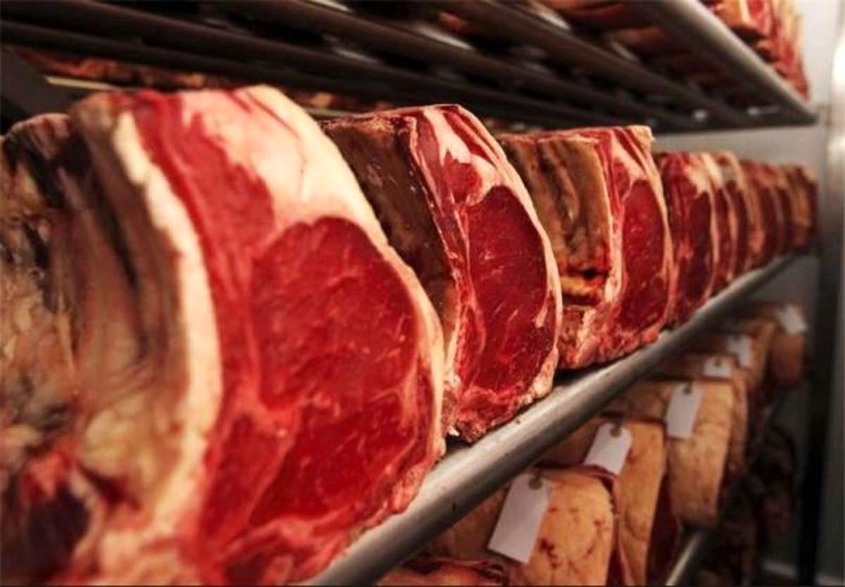 متهم پرونده گوشت‌های برزیلی: ۵ هزار تن گوشت گم شد!