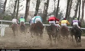 هفته بیست‌ونهم مسابقات اسب‌دوانی پاییزه ‌در گنبدکاووس برگزار شد
