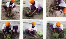 کاشت حداقل ۱۰ نهال برای گرفتن جواز اسلحه در ایالت پنجاب هند