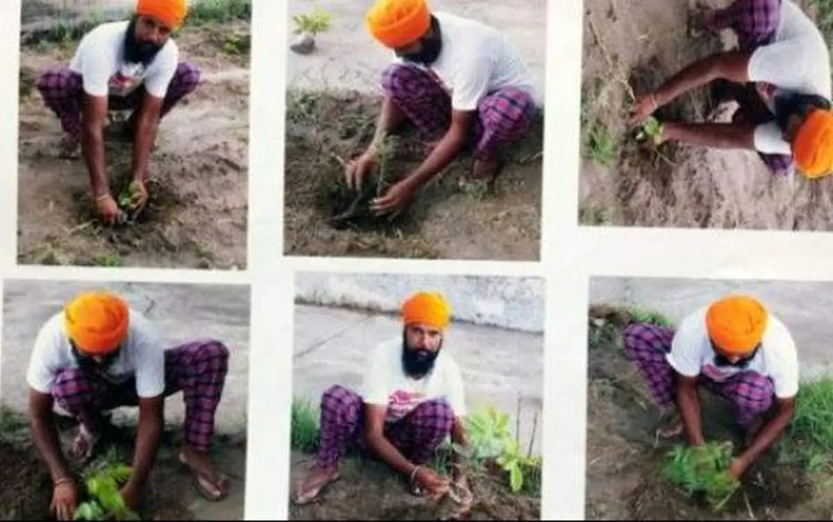 کاشت حداقل ۱۰ نهال برای گرفتن جواز اسلحه در ایالت پنجاب هند