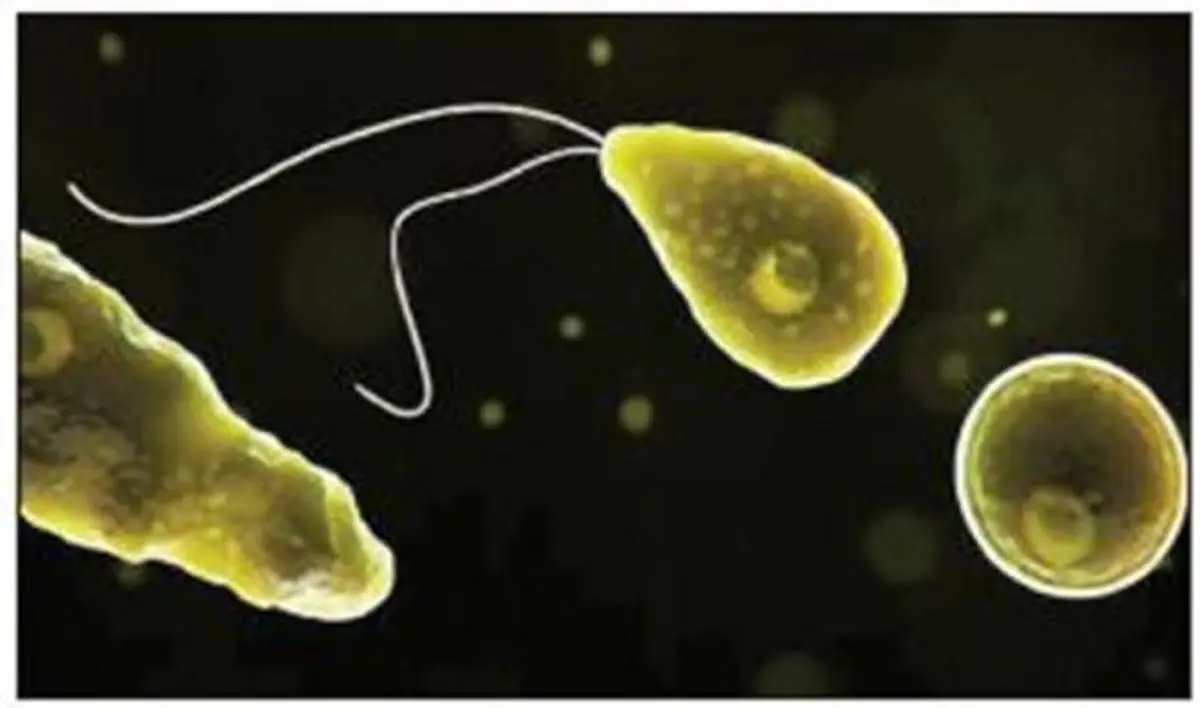 باکتری‌های دریاچه، مردی را کشتند