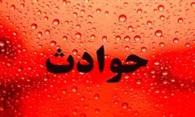 وکیلی که برای موکلش آدم هم می‌کشد