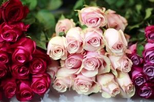 نرخ انواع گل با فرا رسیدن عید قربان / گل رُز را ۱۰ تا ۱۵ تومان خریداری کنید