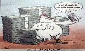 مرغ کشید بالا!