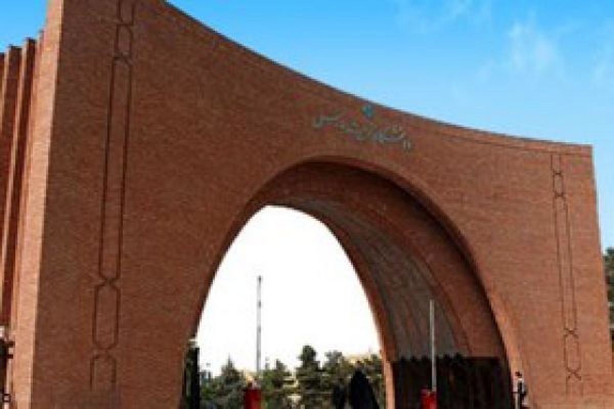 چاپ کاغذی پایاننامه در دانشگاه تربیت مدرس ممنوع شد
