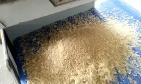 تولید برنج کشور به ۲.۵ میلیون تن می رسد