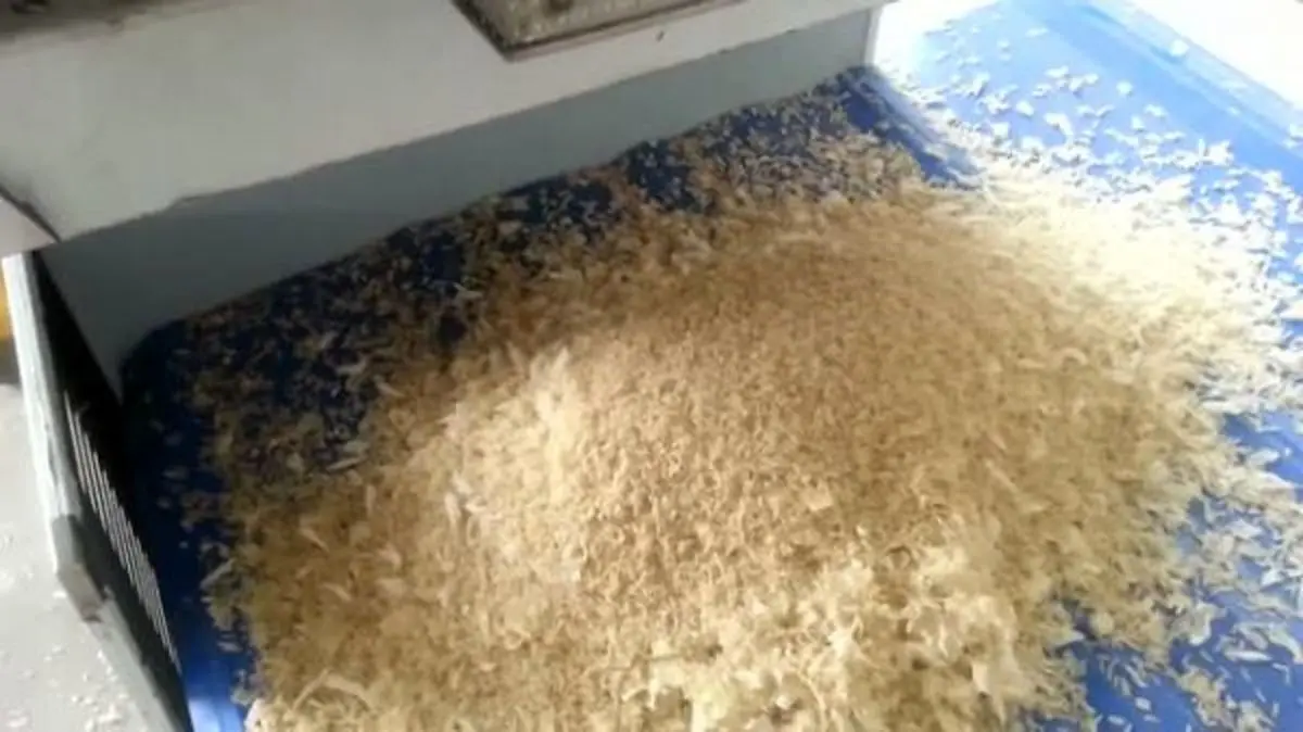 تولید برنج کشور به ۲.۵ میلیون تن می رسد