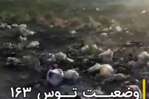 زباله‌های رها شده در توس تهدیدی جدی برای شهروندان مشهدی