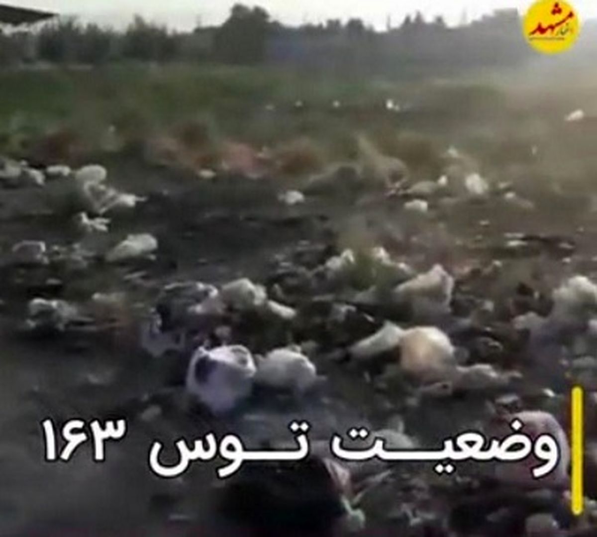 زباله‌های رها شده در توس تهدیدی جدی برای شهروندان مشهدی