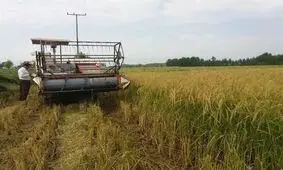 صدور کارت سوخت برای ماشین های کشاورزی پلاک گذاری شده آغاز شد
