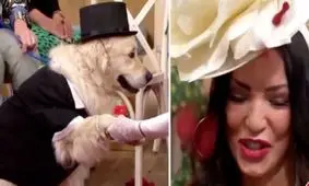 ازدواج زن بریتانیایی با سگش در برنامه زنده تلویزیونی جنجالی شد +تصاویر