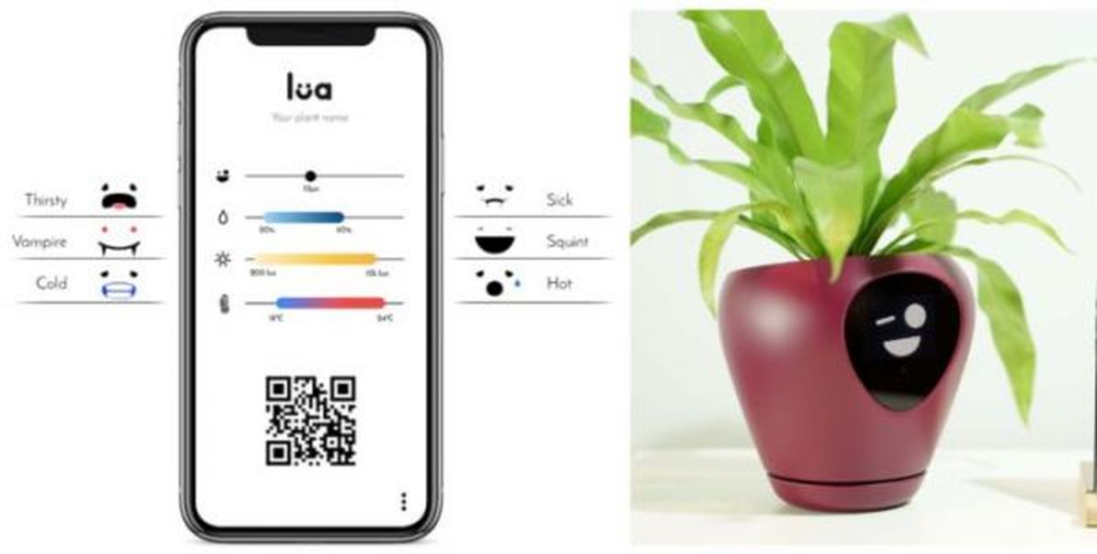با این گلدان هوشمند گیاهان به موجودات خانگی تبدیل می‌شوند
