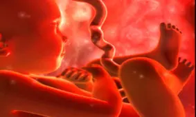 چرا مقایسه گروه خونی با همسرتان مهم است؟