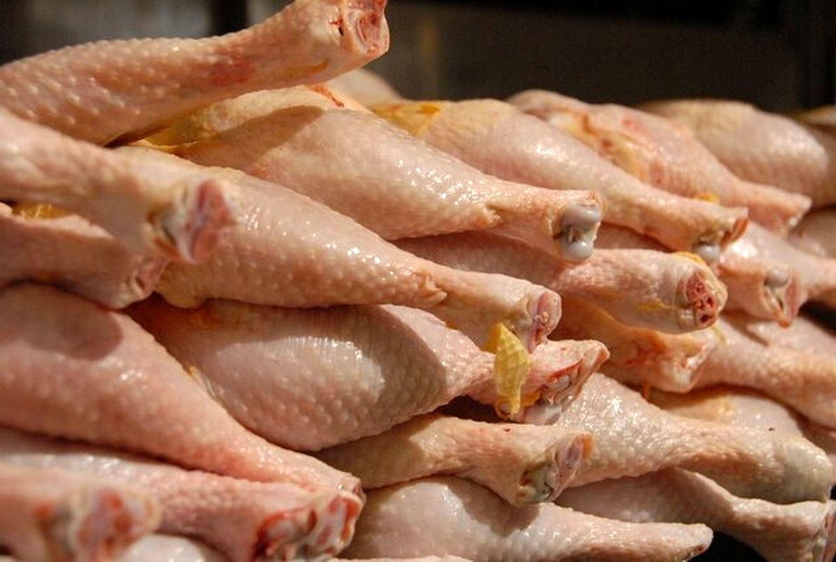 اتحادیه مرغداران: افزایش قیمت گوشت مرغ توسط مرغداران تخلف است/ گرما و دلالان عوامل دیگر گرانی